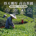 【嚴選在地食品】黃金油切綠茶